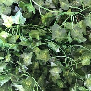 Ivy Garland, 10 Strands